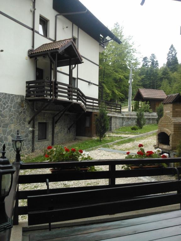 Vila Dani Sinaia Zimmer foto